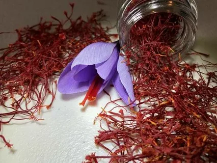 تصویر 2 از زعفران سحر خیز مشهد با کیفیت محبوب و عالی